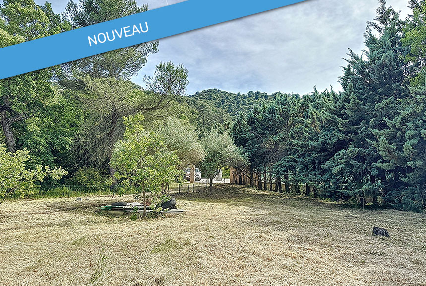 Property Featured Image